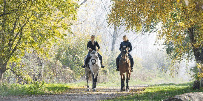 Alles over je paard Alles over je paard